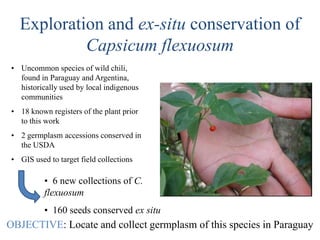 Andy J   Value Of A Coordinate Montpellier Nov 2009