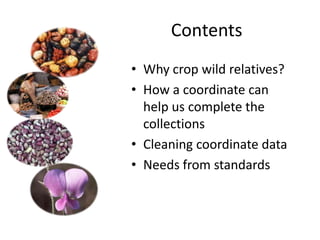 Andy J   Value Of A Coordinate Montpellier Nov 2009