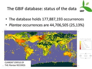 Andy J   Value Of A Coordinate Montpellier Nov 2009