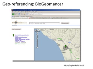 Andy J   Value Of A Coordinate Montpellier Nov 2009
