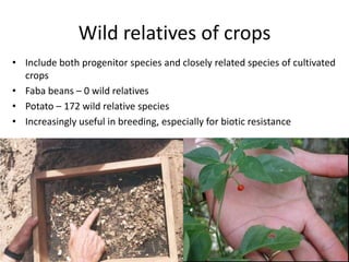 Andy J   Value Of A Coordinate Montpellier Nov 2009