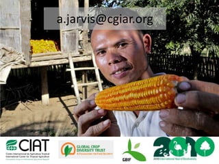 Andy J   Value Of A Coordinate Montpellier Nov 2009