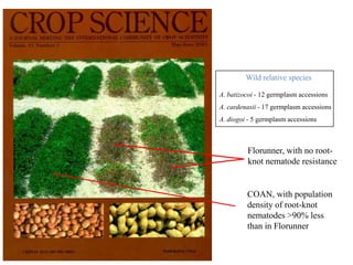 Andy J   Value Of A Coordinate Montpellier Nov 2009