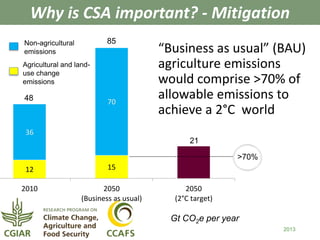 Why is CSA important? - Mitigation 
“Business as usual” (BAU) 
agriculture emissions 
would comprise >70% of 
allowable emissions to 
achieve a 2°C world 
2013 
Gt CO2e per year 
36 
70 
12 15 
2010 2050 
(Business as usual) 
2050 
(2°C target) 
Non-agricultural 
emissions 
Agricultural and land-use 
change 
emissions 
>70% 
48 
85 
21 
 