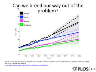 Can we breed our way out of the 
problem? 
Ray DK, Mueller ND, West PC, Foley JA (2013) Yield Trends Are Insufficient to Double Global Crop Production by 2050. PLoS ONE 8(6): e66428. 
doi:10.1371/journal.pone.0066428 
http://www.plosone.org/article/info:doi/10.1371/journal.pone.0066428 
 