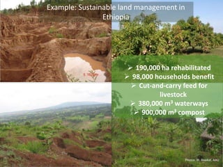 Example: Sustainable land management in 
Ethiopia 
 190,000 ha rehabilitated 
 98,000 households benefit 
 Cut-and-carry feed for 
livestock 
 380,000 m3 waterways 
 900,000 m3 compost 
Photos: W. Bewket, AAU 
 