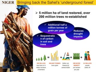 NIGER Bringing back the Sahel’s ‘underground forest’ 
 5 million ha of land restored, over 
200 million trees re-established 
 Sequestratio 
n of carbon 
in soil and 
trees 
 Reduces 
drought 
impacts 
 Additional half a 
million tonnes of 
grain per year 
 