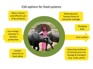 CSA options for food systems 
Changing 
diets 
food system 
More creative 
and efficient use 
of by-products 
Less energy-intensity 
in 
fertilizer 
production 
Improving resilience 
of infrastructure for 
storage & transport 
(e.g. roads, ports) 
Greater 
attention to 
food safety 
Reducing post-harvest 
losses & 
consumer wastage 
 