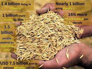 1.4 billion living in 
Poverty 
1 billion more 
People by 2030 
1.5 
billion 
people 
depend on 
Degraded 
Land 
USD 7.5 billion lost to 
extreme Weather (2010) 
Nearly 1 billion 
going Hungry 
14% more 
Food needed per 
decade 
 