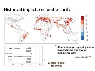 Historical impacts on food security 
Observed changes in growing season 
temperature for crop growing 
regions,1980-2008. 
% Yield impact 
for wheat 
Lobell et al (2011) 
 