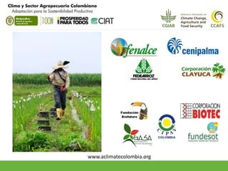 www.aclimatecolombia.org 
 