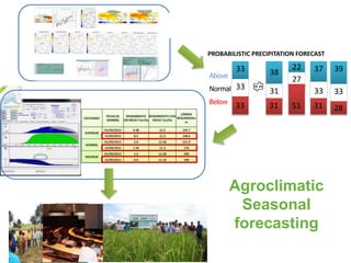 PROBABILISTIC PRECIPITATION FORECAST 
33 
33 
33 
Above 
Normal 
Below 
38 
31 
31 
22 
27 
51 
37 
33 
31 
39 
33 
28 
Agroclimatic 
Seasonal 
forecasting 
 