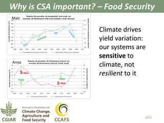 Why is CSA important? – Food Security 
2013 
Maíz 
T-Max 
Yield Yield 
T-Max 
Arroz 
Climate drives 
yield variation: 
our systems are 
sensitive to 
climate, not 
resilient to it 
 