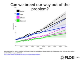 Can we breed our way out of the 
problem? 
Ray DK, Mueller ND, West PC, Foley JA (2013) Yield Trends Are Insufficient to D...