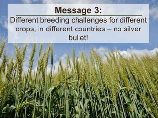 Message 3: 
Different breeding challenges for different 
crops, in different countries – no silver 
bullet! 
 