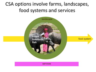 CSA options involve farms, landscapes, 
food systems and services 
landscape 
crops 
livestock 
fish 
food system 
service...