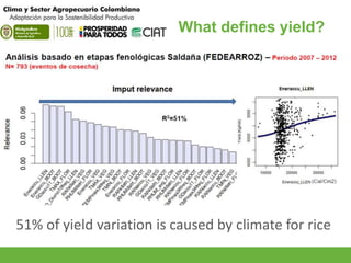 What defines yield? 
51% of yield variation is caused by climate for rice 
 