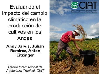 Evaluando el
impacto del cambio
climático en la
producción de
cultivos en los
Andes
Andy Jarvis, Julian
Ramirez, Anton
Eitzinger
Centro Internacional de
Agricultura Tropical, CIAT
 