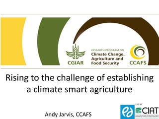 Rising to the challenge of establishing
a climate smart agriculture
Andy Jarvis, CCAFS
 