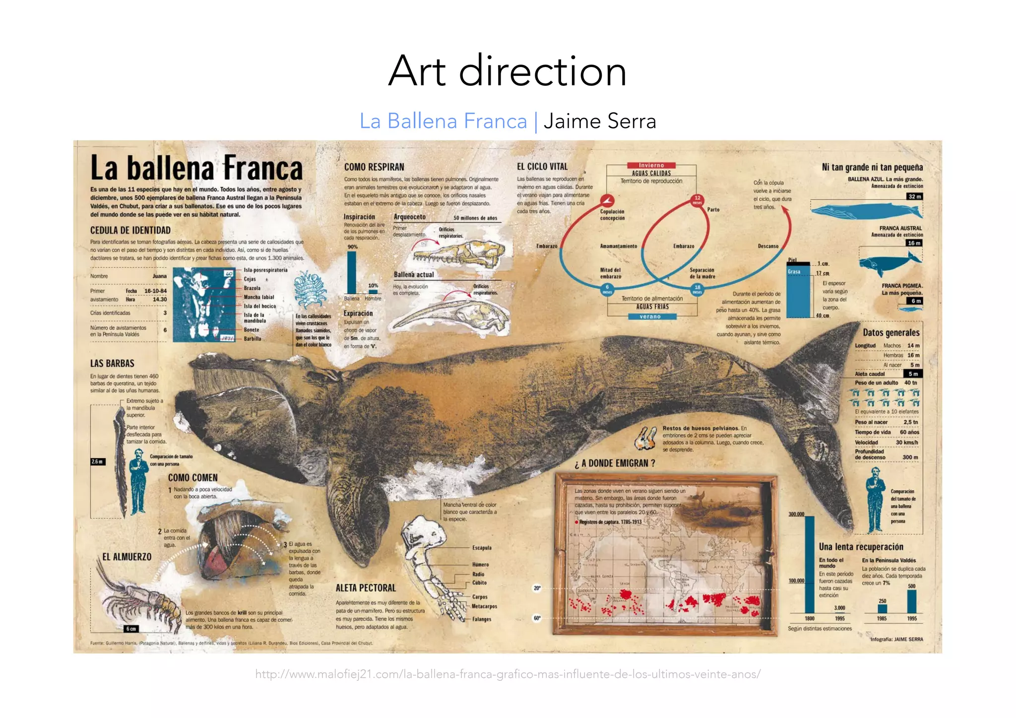 La Ballena Franca | Jaime Serra
Art direction
http://www.malofiej21.com/la-ballena-franca-grafico-mas-influente-de-los-ultimos-veinte-anos/
 