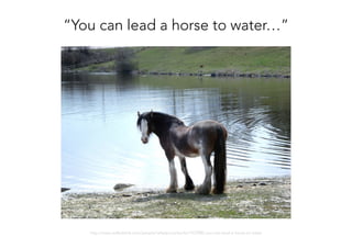 “You can lead a horse to water…”
http://www.redbubble.com/people/rebelpony/works/1073982-you-can-lead-a-horse-to-water
 