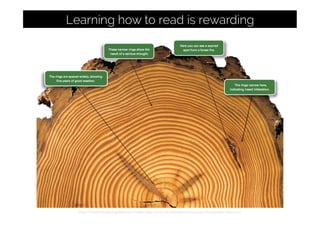 http://www.visualisingdata.com/index.php/2015/02/dendrochronology-visualisation-literacy/
Learning how to read is rewarding
 