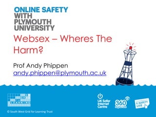 Websex – Wheres The
    Harm?
    Prof Andy Phippen
    andy.phippen@plymouth.ac.uk




© South West Grid for Learning Trust
 