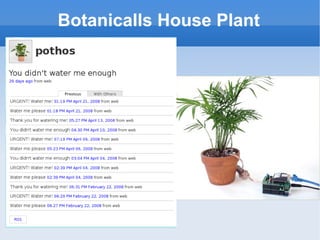 Botanicalls House Plant 