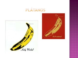  PLÁTANOS