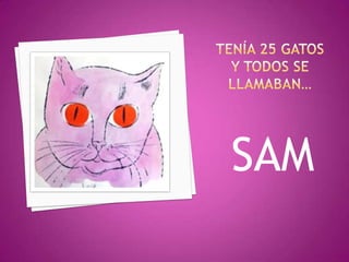 TENÍA 25 GATOSY TODOS SE LLAMABAN…SAM