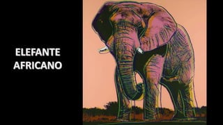 Andy warhol especies extinción