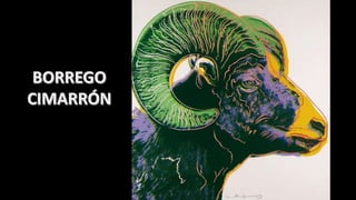 Andy warhol especies extinción