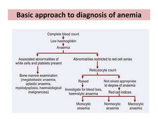 Basic approach to diagnosis of anemia
 