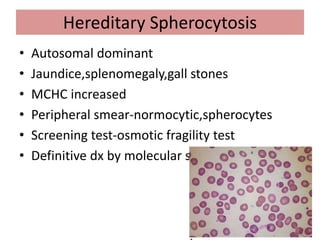 Hereditary Spherocytosis
• Autosomal dominant
• Jaundice,splenomegaly,gall stones
• MCHC increased
• Peripheral smear-normocytic,spherocytes
• Screening test-osmotic fragility test
• Definitive dx by molecular studies of gene
 
