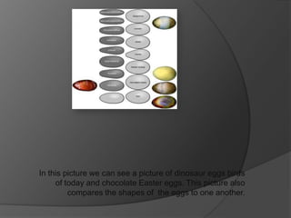 In this picture we can see a picture of dinosaur eggs birds
     of today and chocolate Easter eggs. This picture also
         compares the shapes of the eggs to one another.
 
