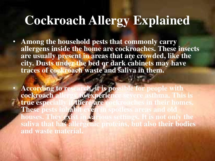 An easy explanation on how allergies develop