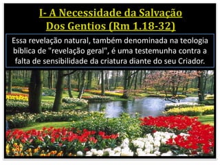 Essa revelação natural, também denominada na teologia
bíblica de "revelação geral", é uma testemunha contra a
falta de sensibilidade da criatura diante do seu Criador.
 