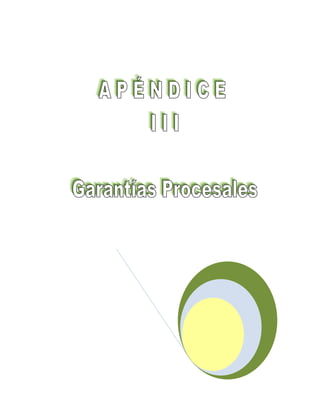 Anejo iii _garantias_procesales