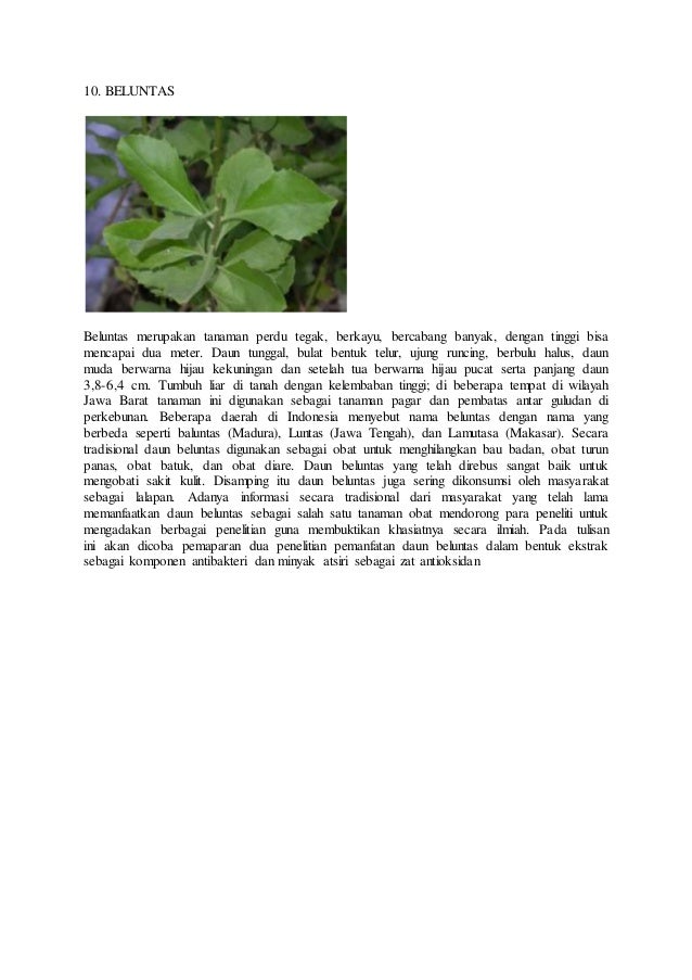  Aneka jenis tanaman obat 