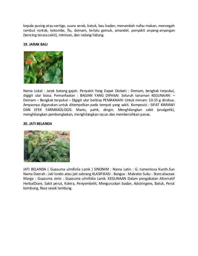  Aneka jenis tanaman obat keluarga