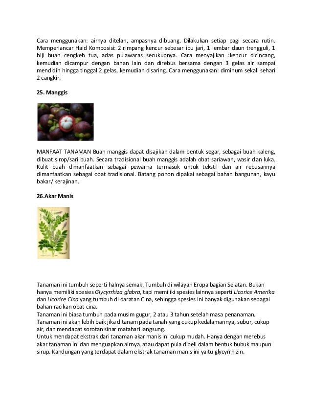 Aneka jenis tanaman obat keluarga Aneka jenis tanaman obat keluarga