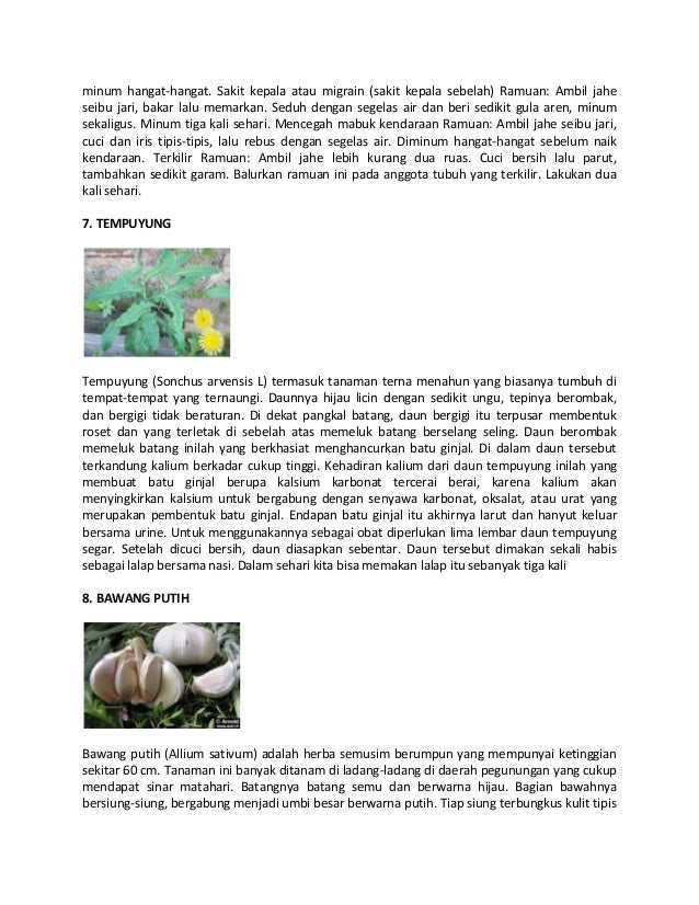 Aneka jenis tanaman obat keluarga