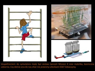 Uzupełnieniem do symulatora może byd zestaw dwiczeo Mission X oraz maleoka, kosmiczna
szklarnia. Czy dotrze ona do nas chod nie jesteśmy członkami ESA? Zobaczymy.
 