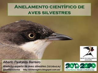 Anelamento científico de
             aves silvestres




Alberto Pastoriza Barreiro
Anelador experto de aves silvestres (SEO/BirdLife)
@bertopastoriza   http://noiteneghra.blogspot.com.es/
 
