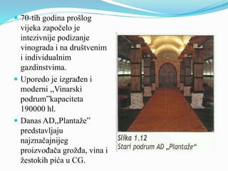  70-tih godina prošlog 
vijeka započelo je 
intezivnije podizanje 
vinograda i na društvenim 
i individualnim 
gazdinstvima. 
 Uporedo je izgrađen i 
moderni ,,Vinarski 
podrum”kapaciteta 
190000 hl. 
 Danas AD,,Plantaže” 
predstavljaju 
najznačajnijeg 
proizvođača grožđa, vina i 
žestokih pića u CG. 
 