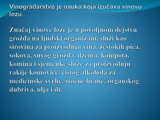 Anđela Rovčanin