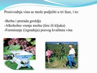 Proizvodnja vina se može podjeliti u tri faze, i to: 
-Berba i prerada groždja 
-Alkoholno vrenje mošta (šire ili kljuka) 
-Formiranje (izgradnja) pravog kvaliteta vina 
 