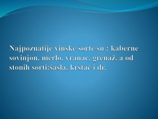 Anđela Rovčanin