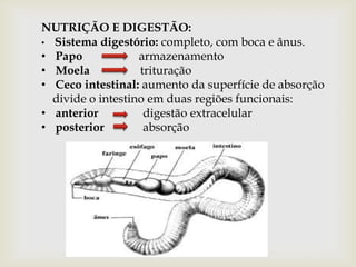 NUTRIÇÃO E DIGESTÃO:
• Sistema digestório: completo, com boca e ânus.
• Papo             armazenamento
• Moela            trituração
• Ceco intestinal: aumento da superfície de absorção
  divide o intestino em duas regiões funcionais:
• anterior          digestão extracelular
• posterior         absorção
 