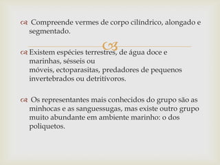 Compreende vermes de corpo cilíndrico, alongado e
 segmentado.

                       
 Existem espécies terrestres, de água doce e
  marinhas, sésseis ou
  móveis, ectoparasitas, predadores de pequenos
  invertebrados ou detritívoros.

 Os representantes mais conhecidos do grupo são as
 minhocas e as sanguessugas, mas existe outro grupo
 muito abundante em ambiente marinho: o dos
 poliquetos.
 